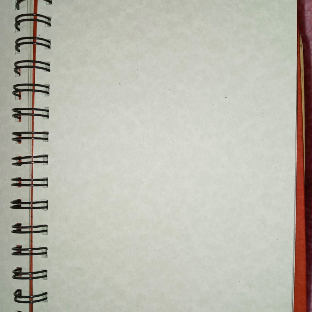 Journal - Picture 6 of 6